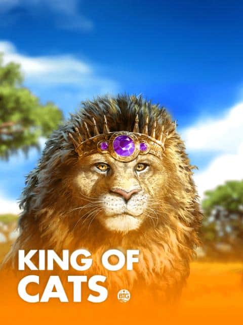 King of Cats