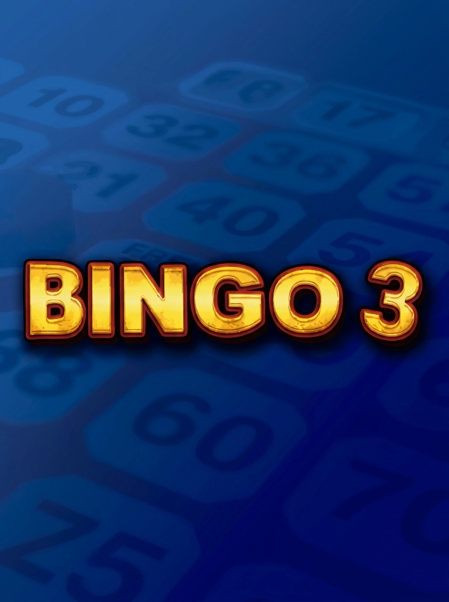 Bingo 3
