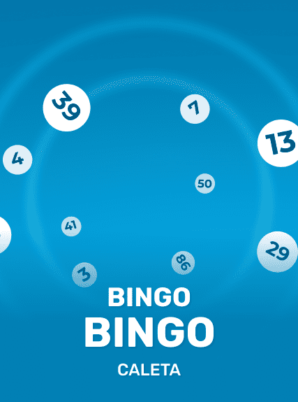 Bingo Bingo