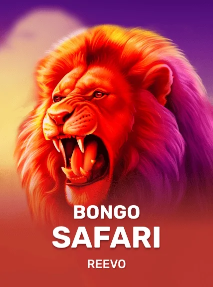 Bongo Safari