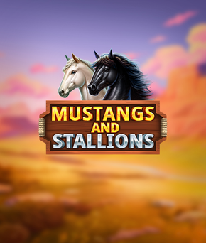 Mustang and Stallions