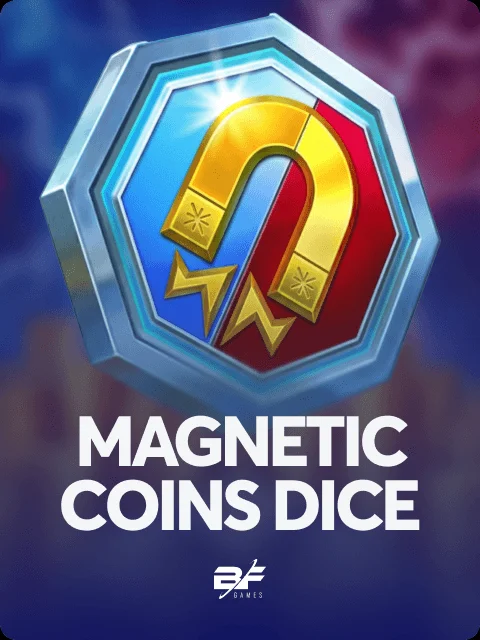 Magnetic Coins Dice