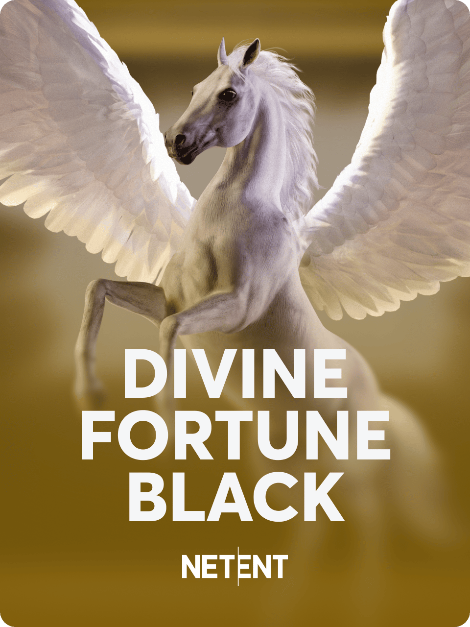 Divine Fortune Black