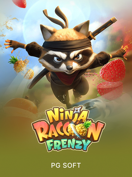 Ninja Raccoon Frenzy